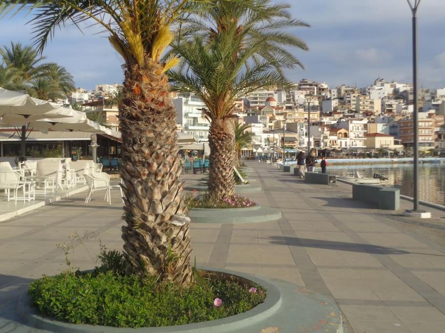 Seashell Apartment Sea View, Castle View 200Metres From The Beach Sitia  Bagian luar foto
